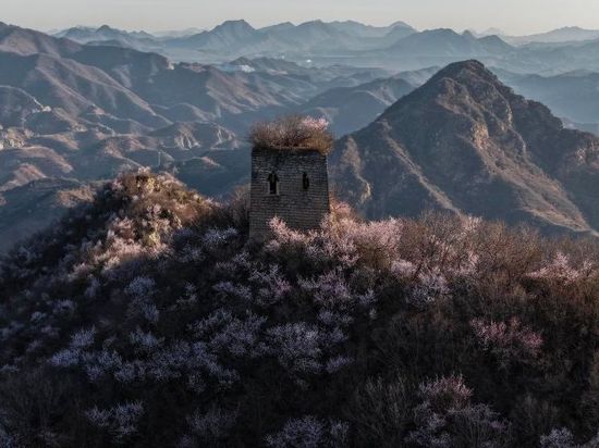 People's Daily English language App