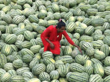 People's Daily English language App