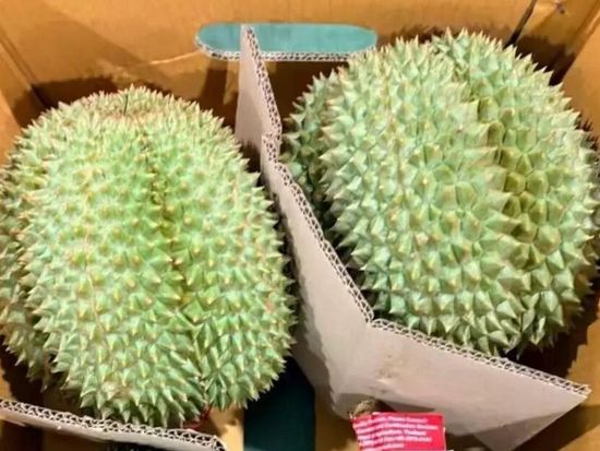 China-Laos-Thailand all-rail freight train service launched, sending fresh fruits from ASEAN to China