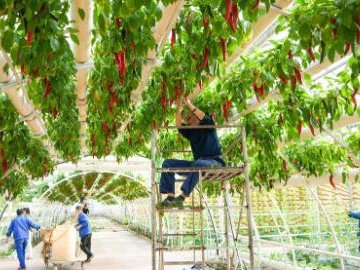 People's Daily English language App