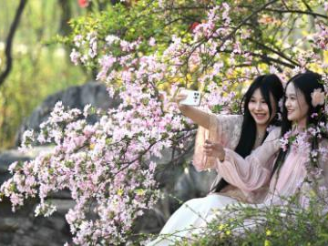 People's Daily English language App