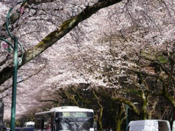 People's Daily English language App