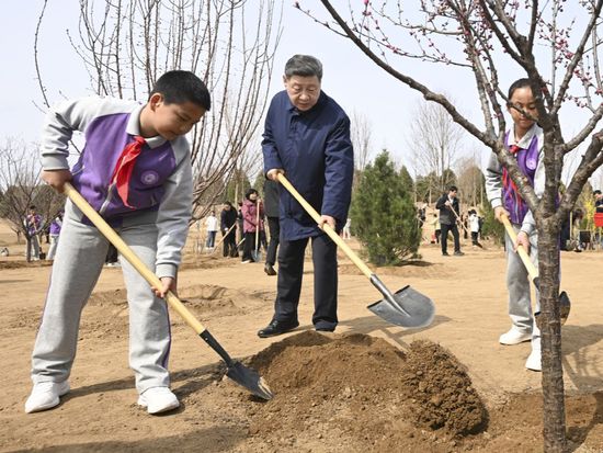 Xi's key remarks during tree-planting activity in Beijing