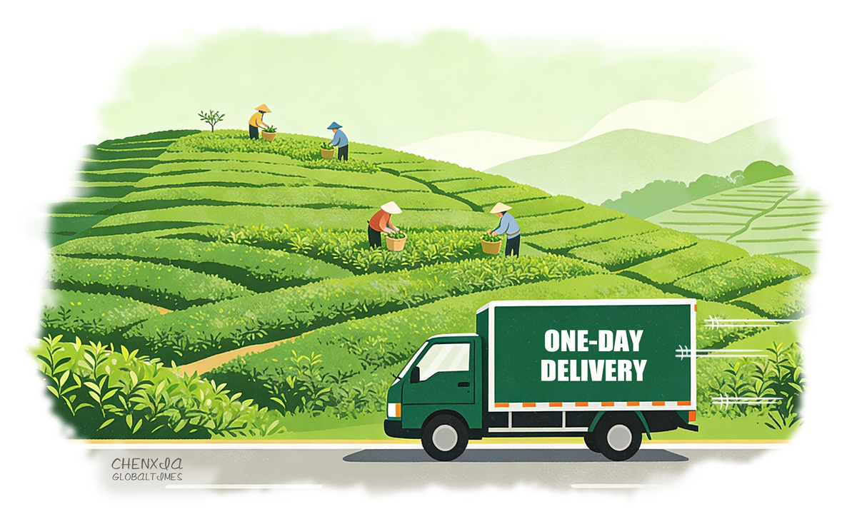 Illustration: Chen Xia/GT