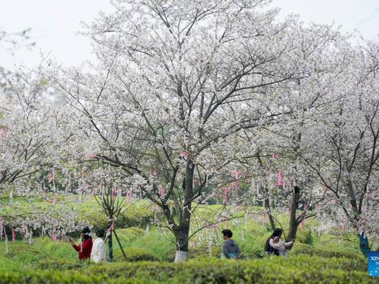 People's Daily English language App