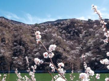 People's Daily English language App