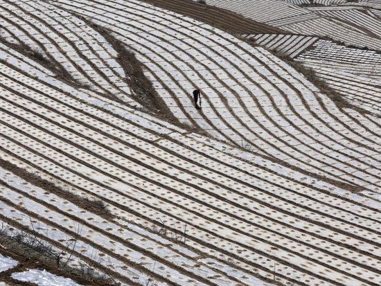 People's Daily English language App