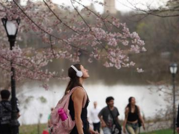 People's Daily English language App