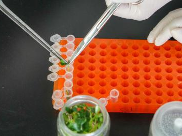 People's Daily English language App