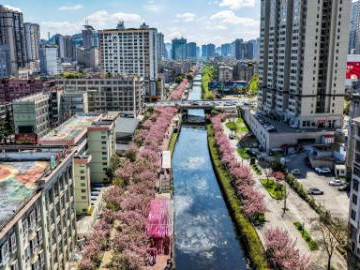 People's Daily English language App