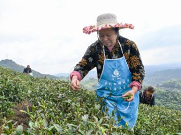 People's Daily English language App