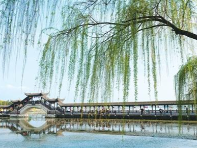 Qingming Festival and spring breaks fuel travel surge