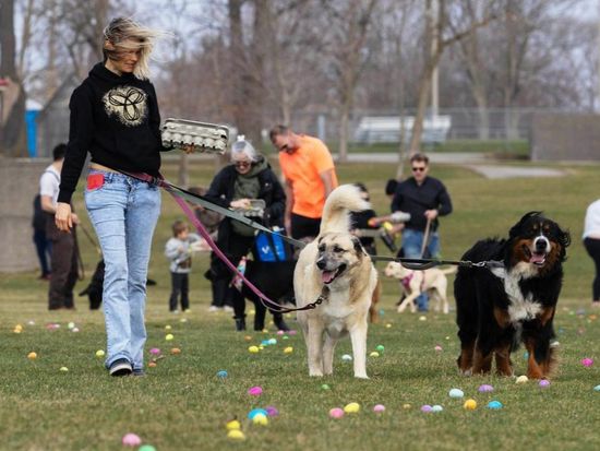 People's Daily English language App