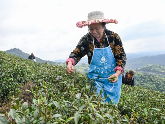 People's Daily English language App