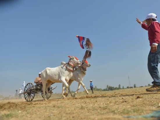 People's Daily English language App