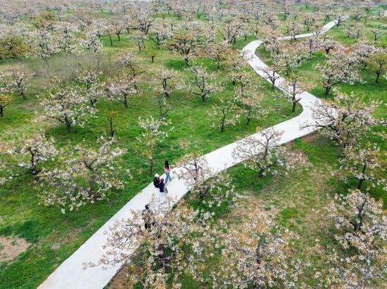 People's Daily English language App