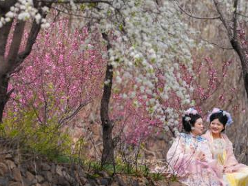 People enjoy spring scenery during Qingming Festival holiday