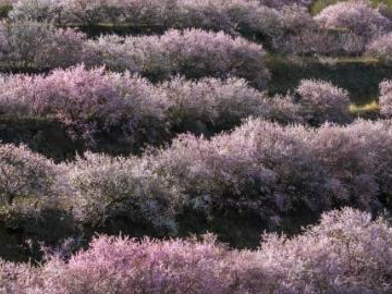 People's Daily English language App