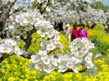 People's Daily English language App