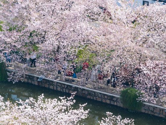 People's Daily English language App