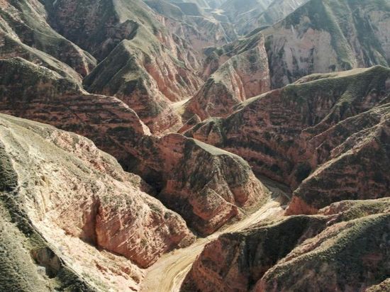 People's Daily English language App