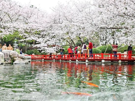 China sees cross-border travel growth during Qingming Festival holiday