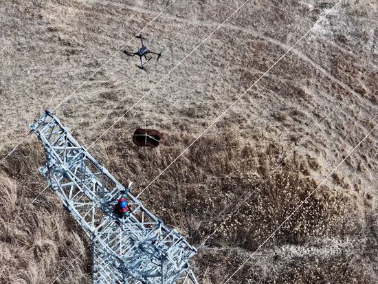 Drones used to install artificial nests for migratory birds in Altay
