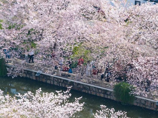 Color-hunting walk gets trendy in China as low-cost emotional fix