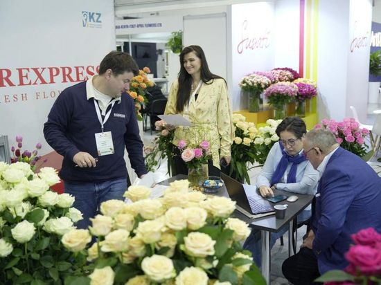 People's Daily English language App