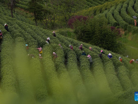 People's Daily English language App