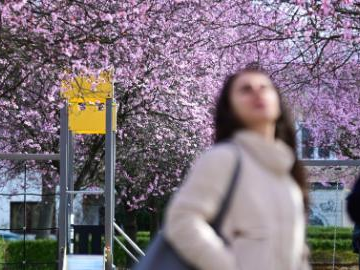 People's Daily English language App