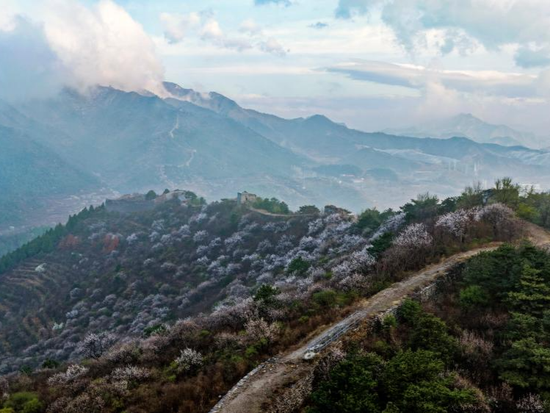 People's Daily English language App