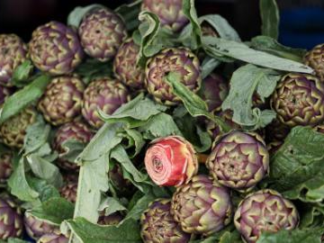 People's Daily English language App