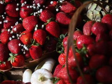 People's Daily English language App