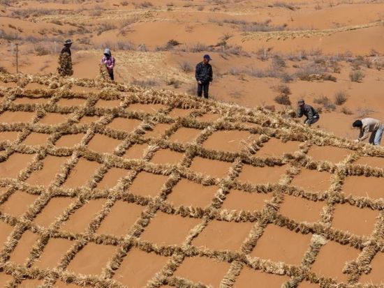 People's Daily English language App