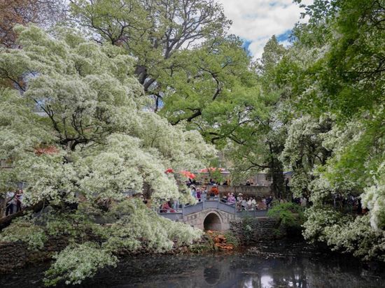 People's Daily English language App