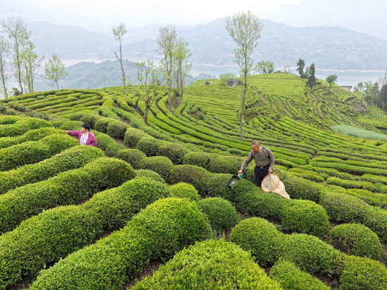 People's Daily English language App