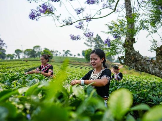 People's Daily English language App