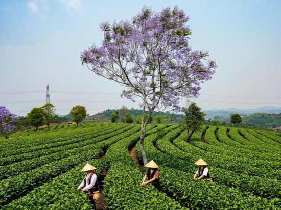 People's Daily English language App