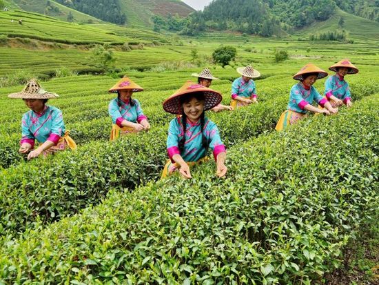 People's Daily English language App