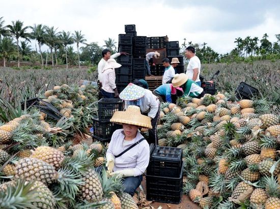 People's Daily English language App