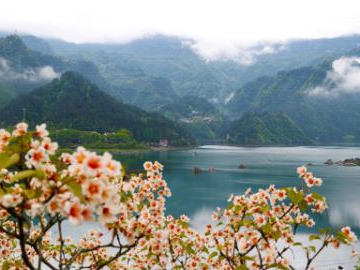 People's Daily English language App