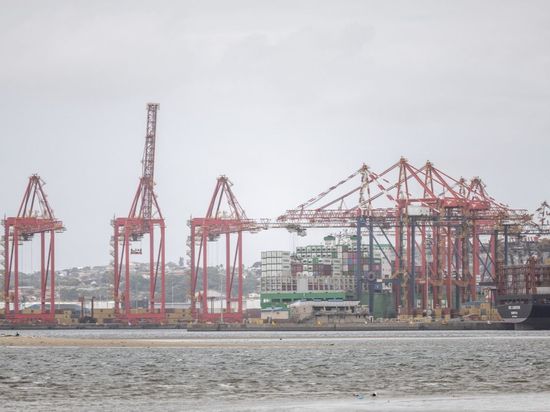 South Africans voice optimism over China's zero-tariff policy