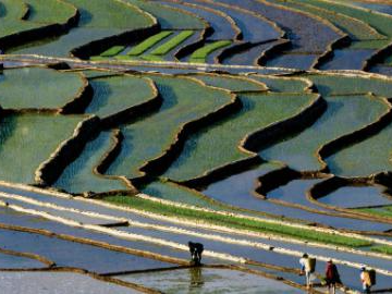 People's Daily English language App