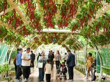 Int'l vegetable science and technology Expo opens in Shouguang, China's Shandong