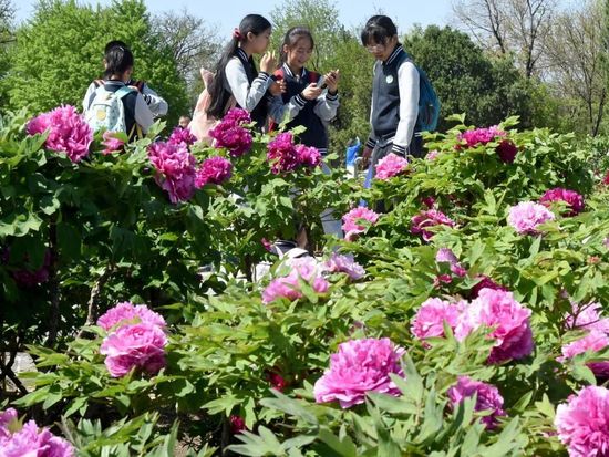 People's Daily English language App