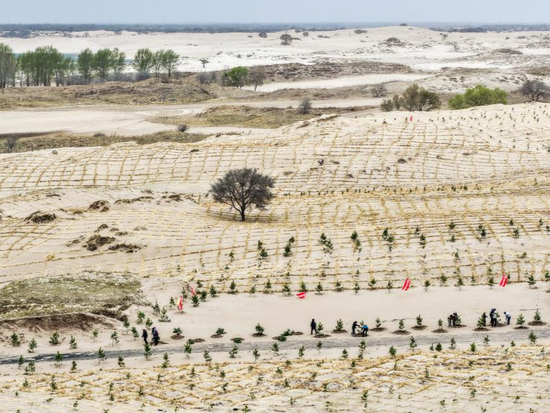 People's Daily English language App