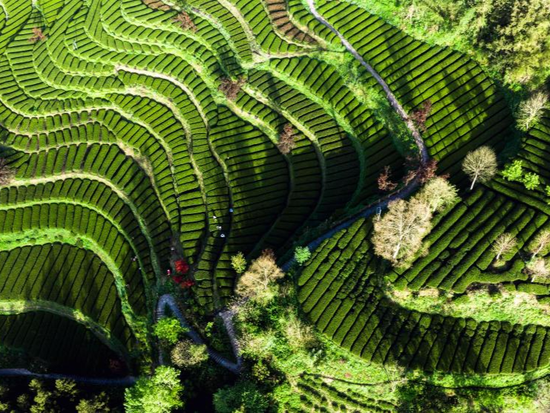 People's Daily English language App