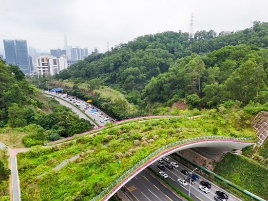 People's Daily English language App