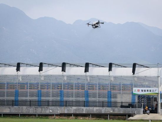 China harnesses meteorological data to boost agricultural production